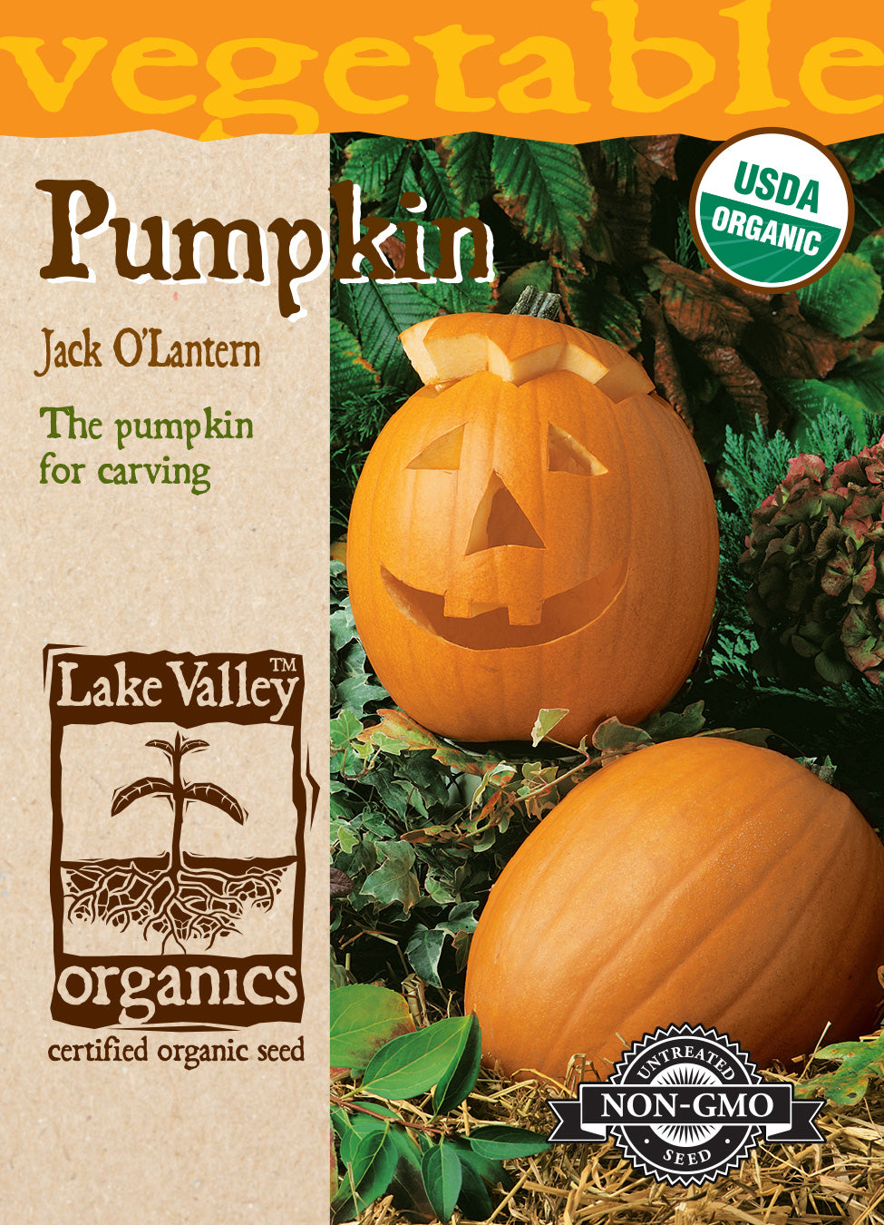 Pumpkin Jack O'Lantern - Item #3556