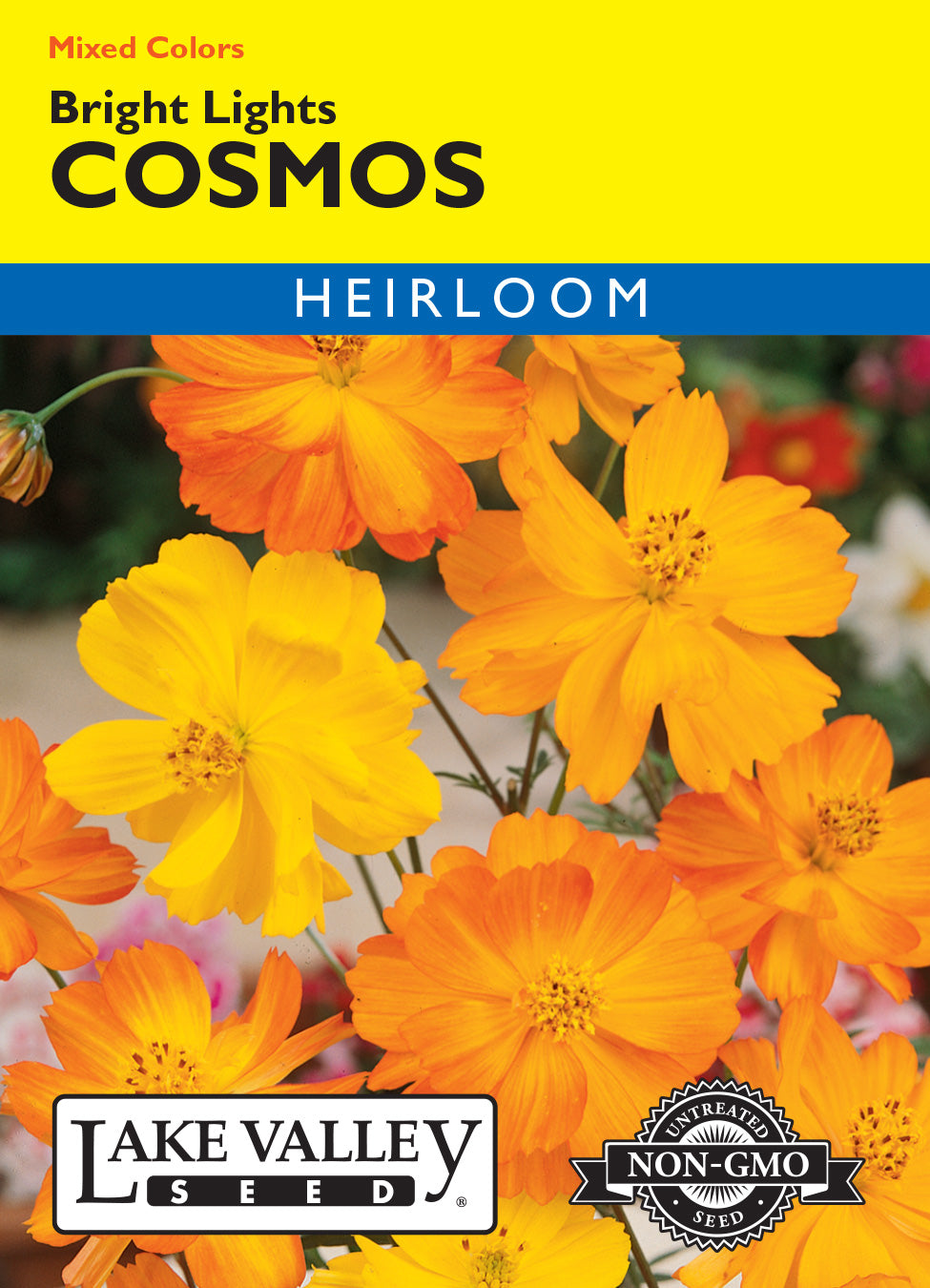 Cosmos Bright Lights Mixed Colors - Item #375