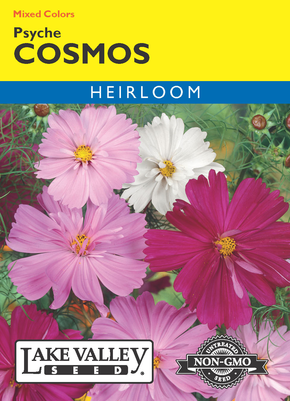 Cosmos Psyche Mixed Colors - Item #376