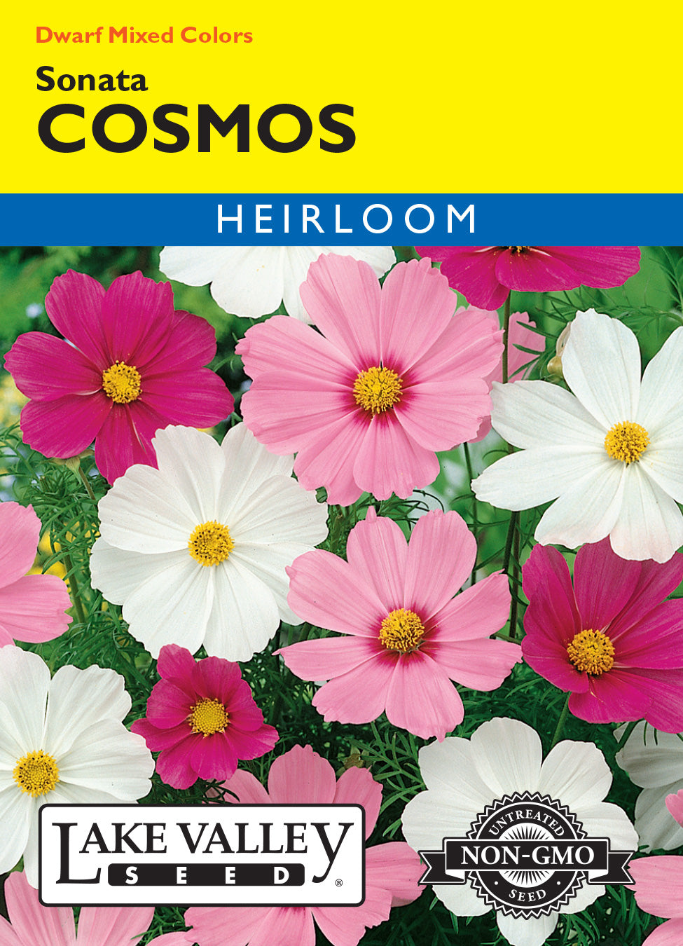 Cosmos Sonata Mixed Colors - Item #377