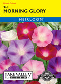 Morning Glory Tall Mixed Colors - Item #385
