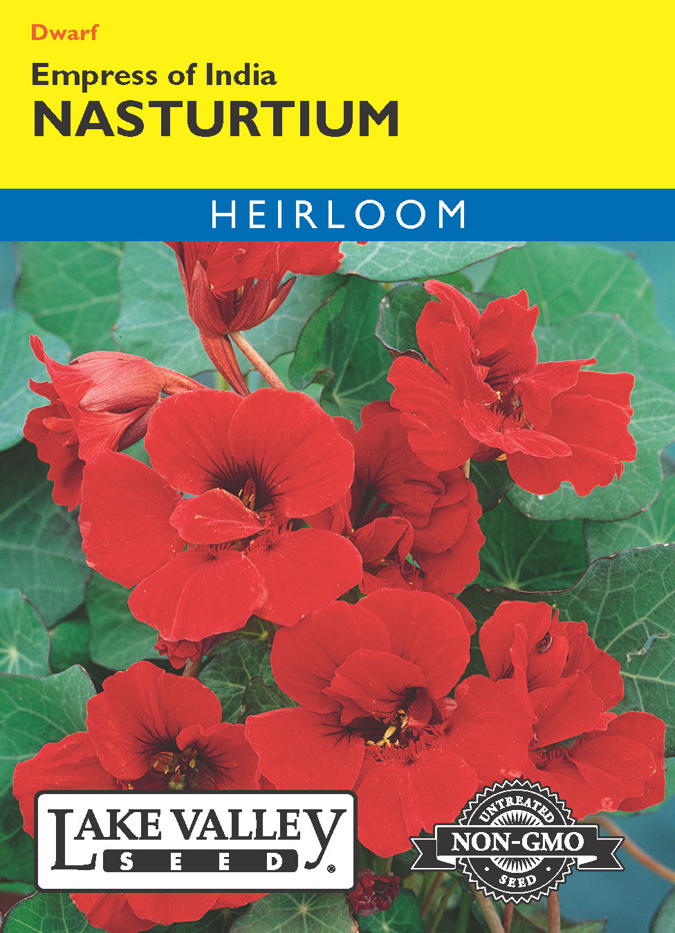 Nasturtium Empress of India - Item #386