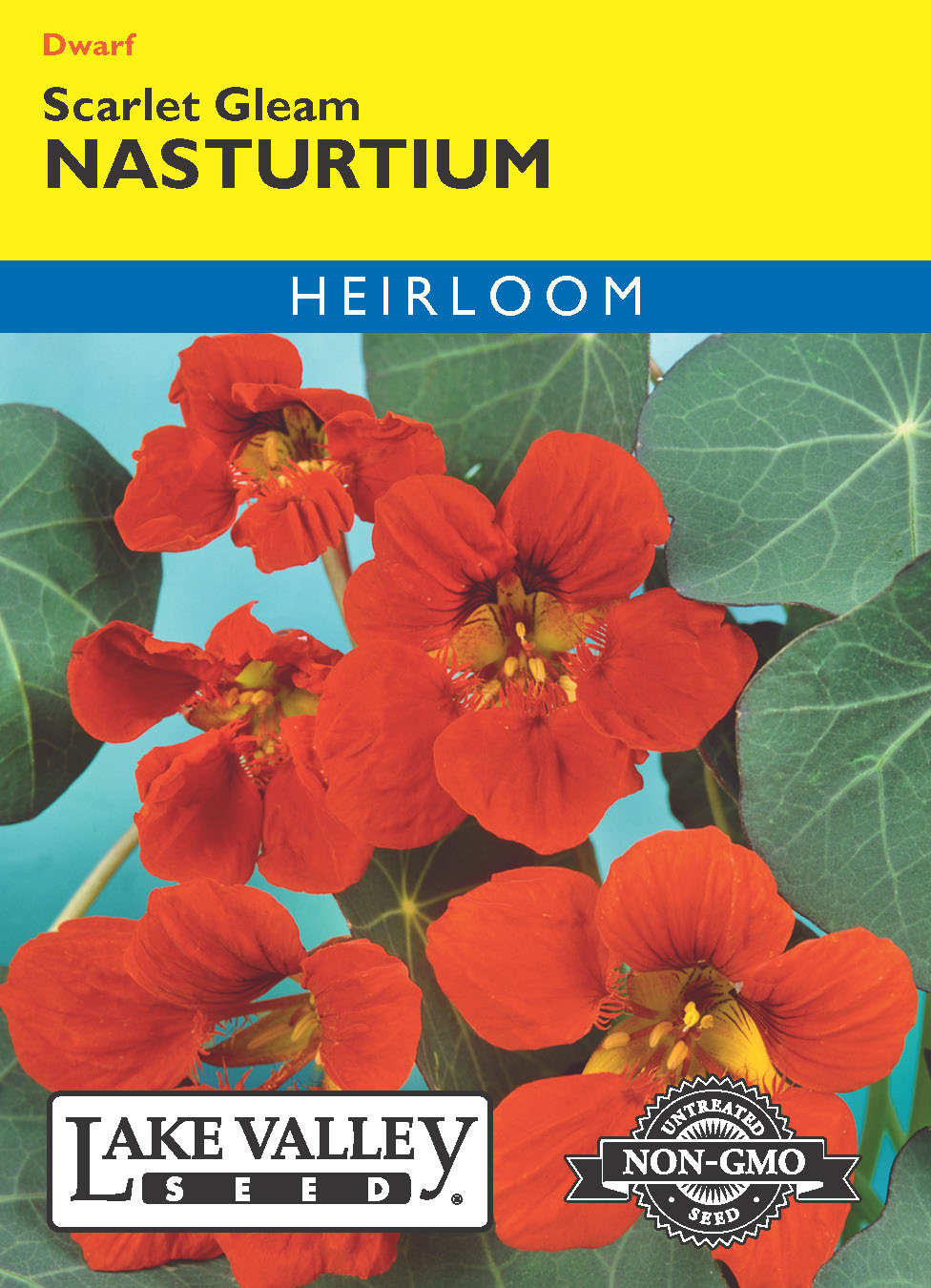 Nasturtium Scarlet Gleam - Item #388