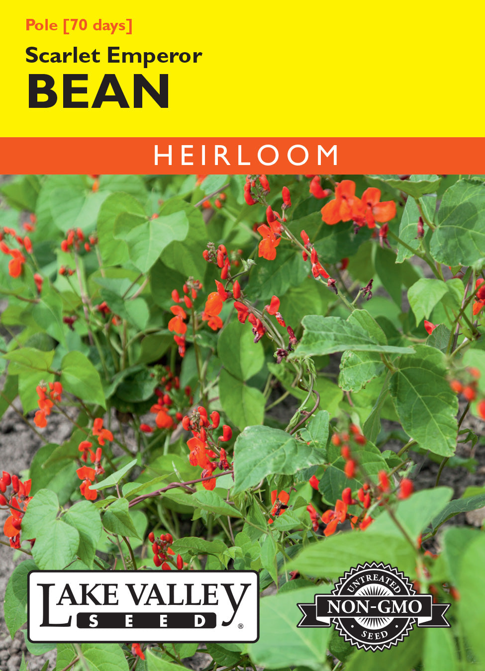 Bean (Pole) Scarlet Emperor - Item #39