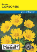 Coreopsis Sunray - Item #3916