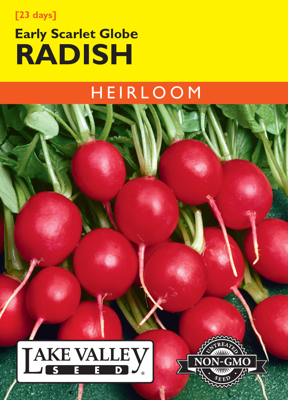 Radish Early Scarlet Globe - Item #3923