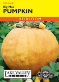 Pumpkin Big Max - Item #3925