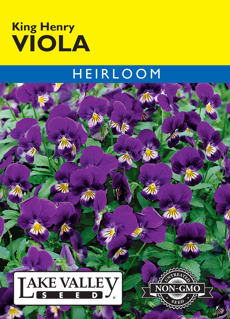 Viola King Henry - Item #393