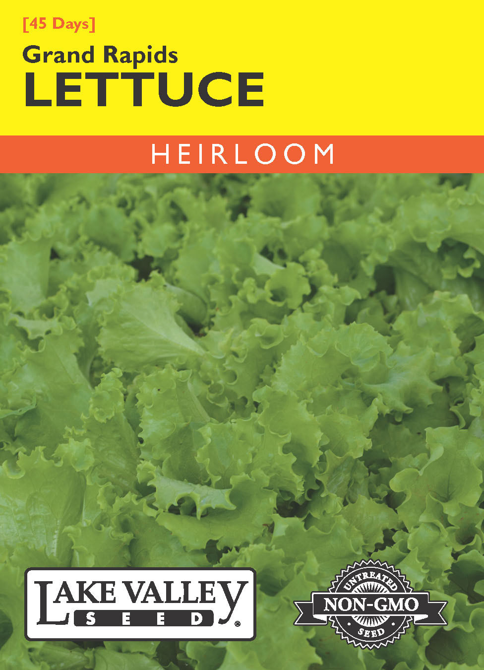Lettuce Grand Rapids - Item #3930