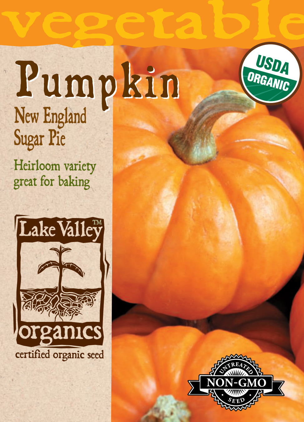 Pumpkin New England Sugar Pie - Item #3990