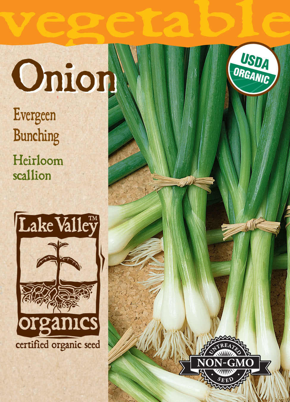 Onion Evergreen Bunching - Item #3997