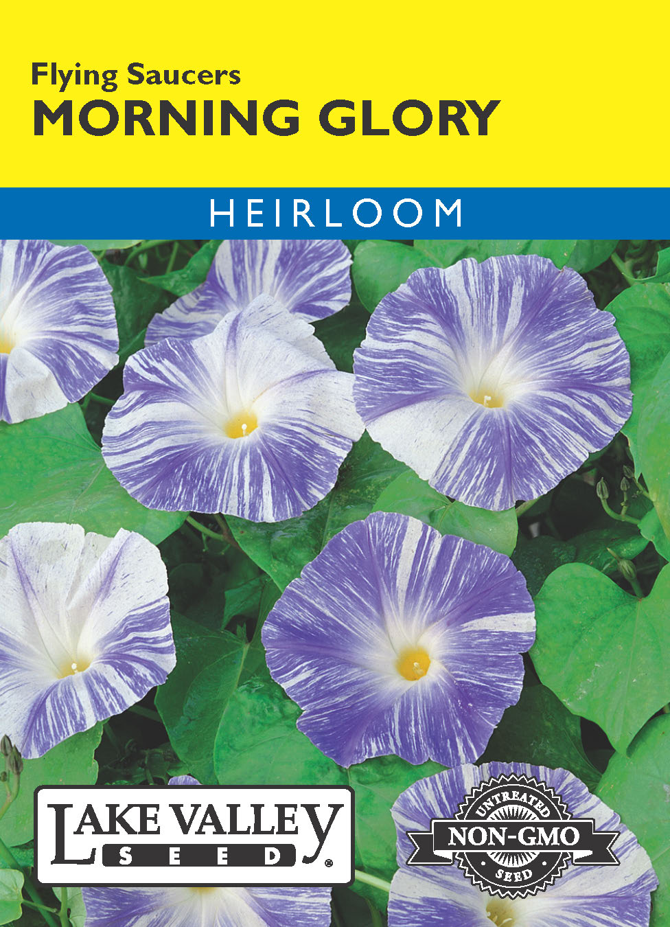 Morning Glory Flying Saucers - Item #402