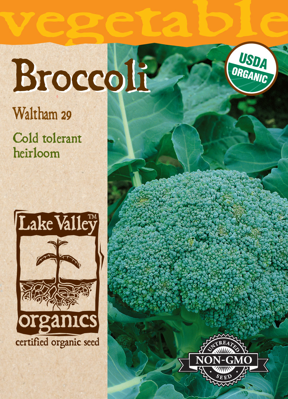 Broccoli Waltham 29 - Item #4054