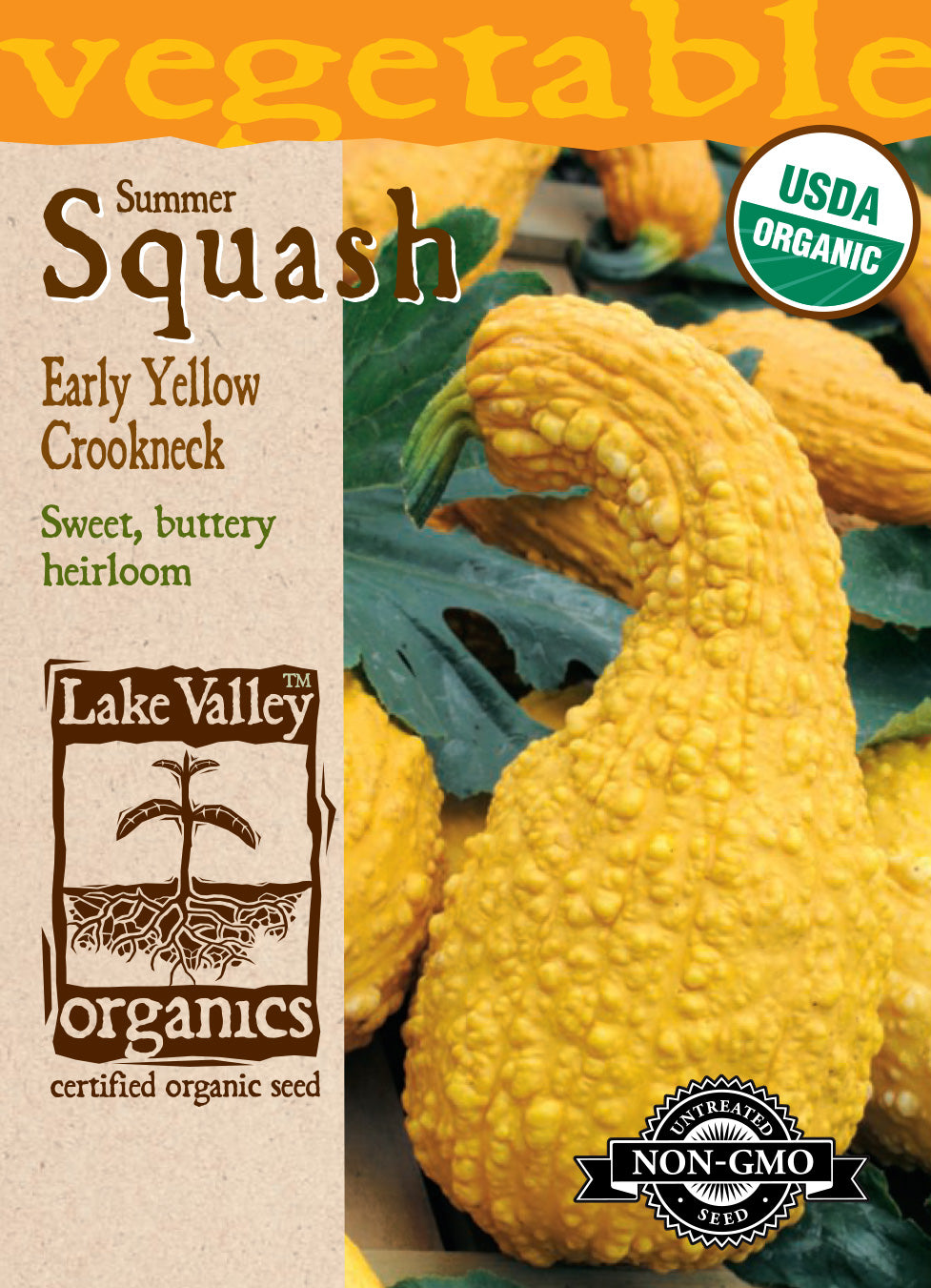 Squash (Summer) Early Yellow Crookneck - Item #4064