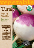 Turnip Purple Top White Globe - Item #4068