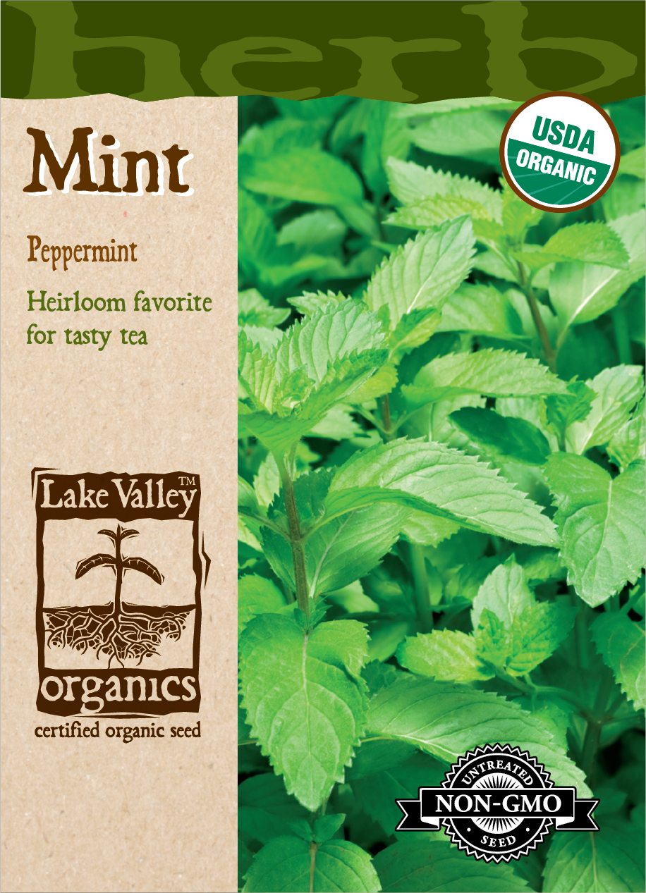 Mint Peppermint - Item #4074