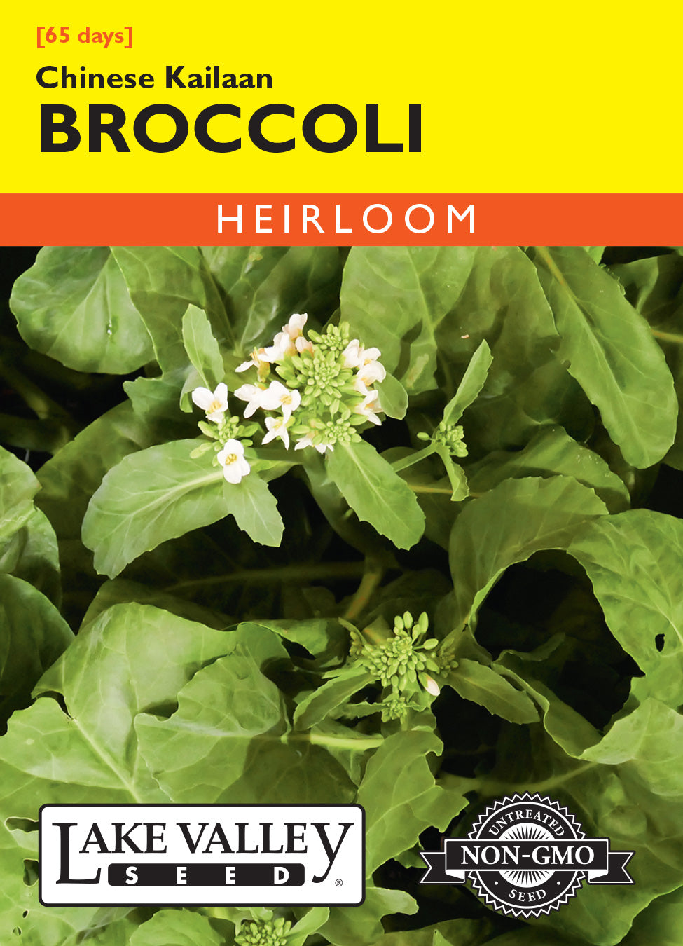 Broccoli Chinese Kailaan - Item #4080