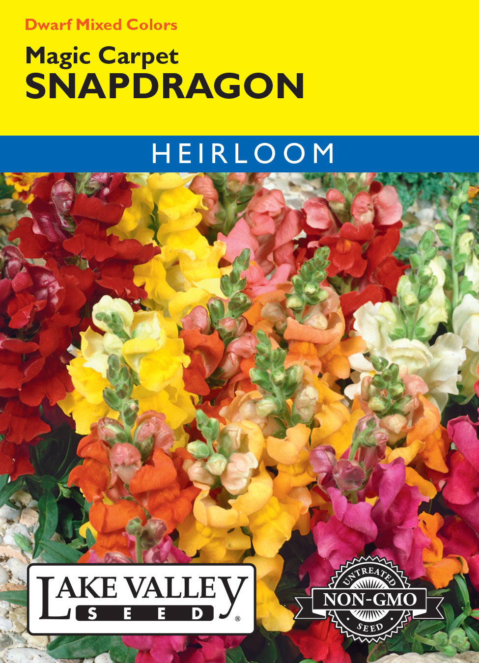 Snapdragon Magic Carpet Dwarf Mixed Colors - Item #410