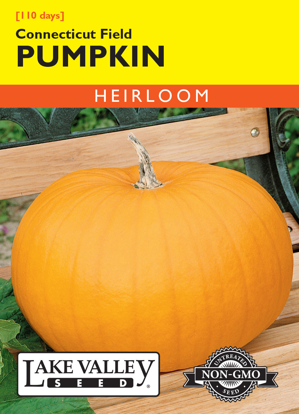 Pumpkin Connecticut Field - Item #413