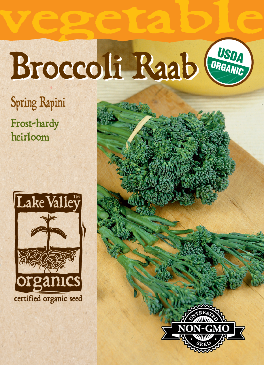 Broccoli Raab Spring (Rapini) - Item #4130