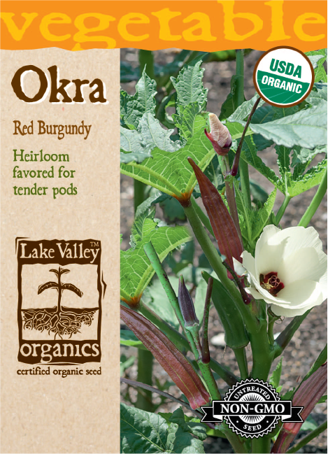 Okra Red Burgundy - Item #4133