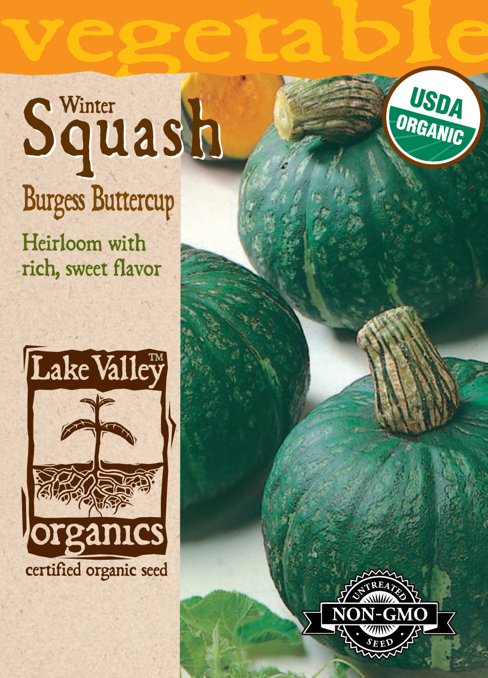 Squash (Winter) Burgess Buttercup - Item #4141