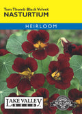 Nasturtium Tom Thumb Black Velvet - Item #4147