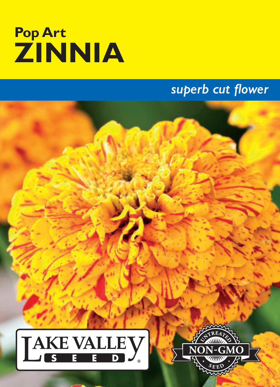 Zinnia Pop Art - Item #4151