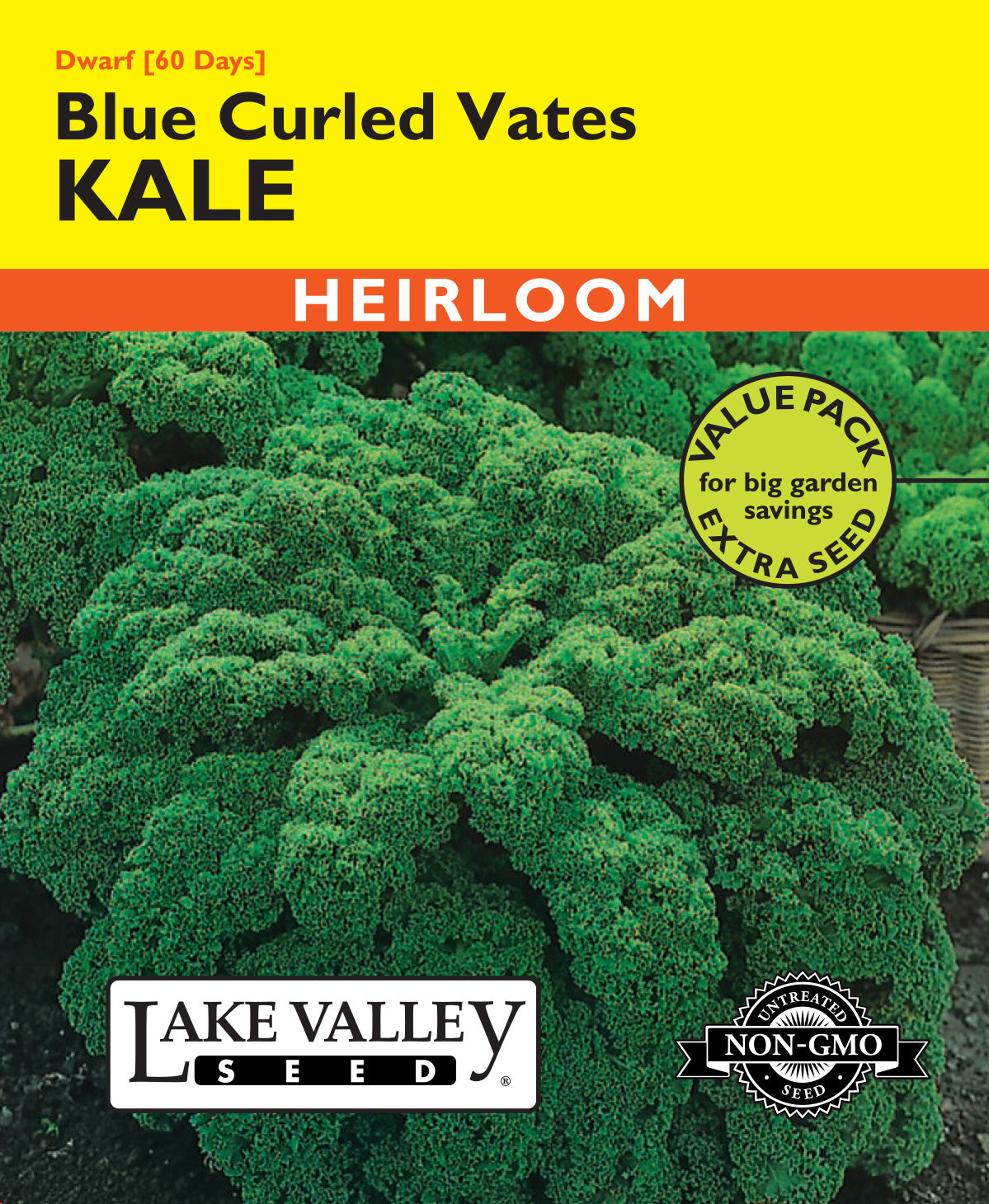 Kale Dwarf Blue Curled Vates - Item #4184