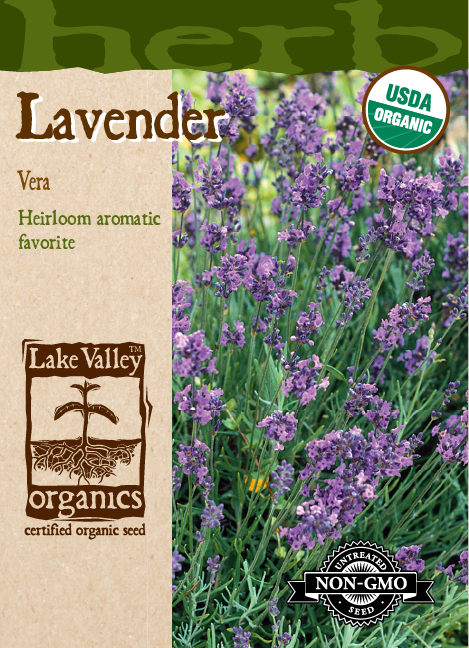 Lavender Vera - Item #4283