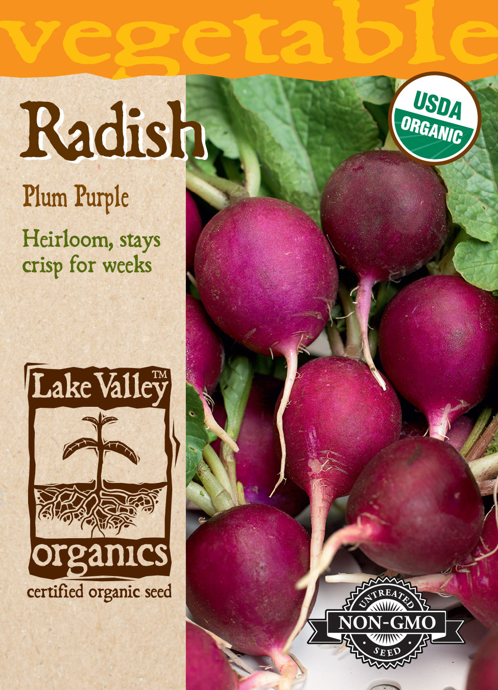 Radish Plum Purple - Item #4286