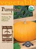 Pumpkin Connecticut Field - Item #4287