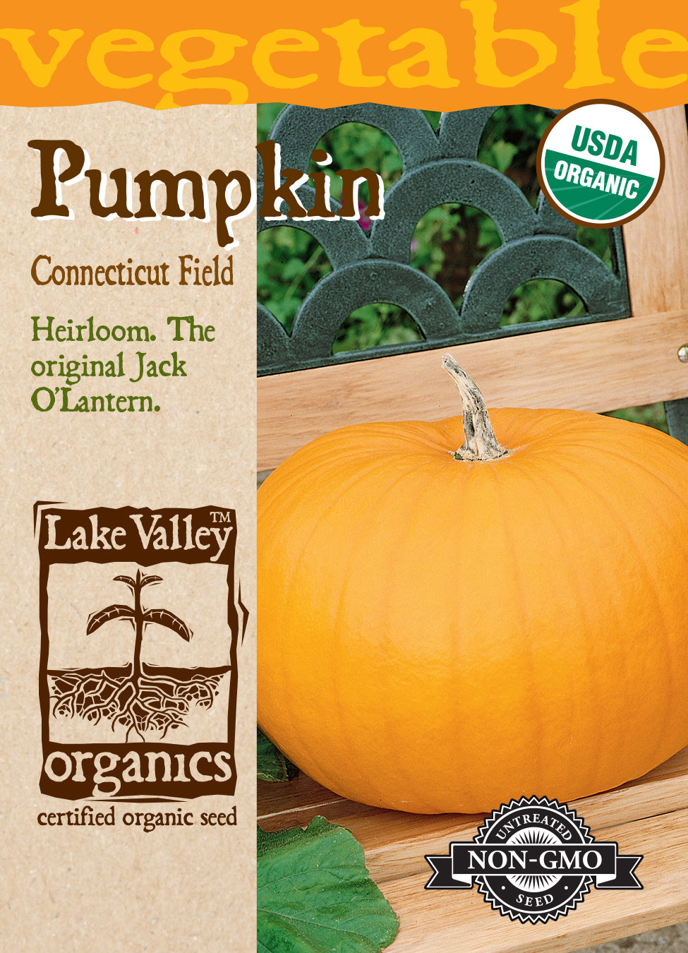 Pumpkin Connecticut Field - Item #4287
