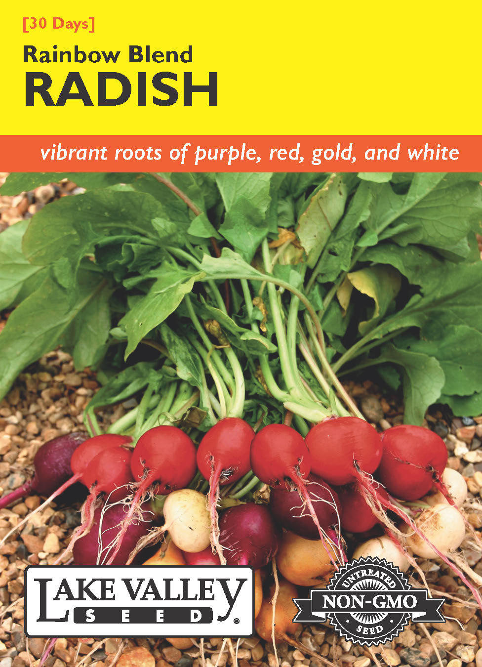 Radish Rainbow Blend - Item #4288