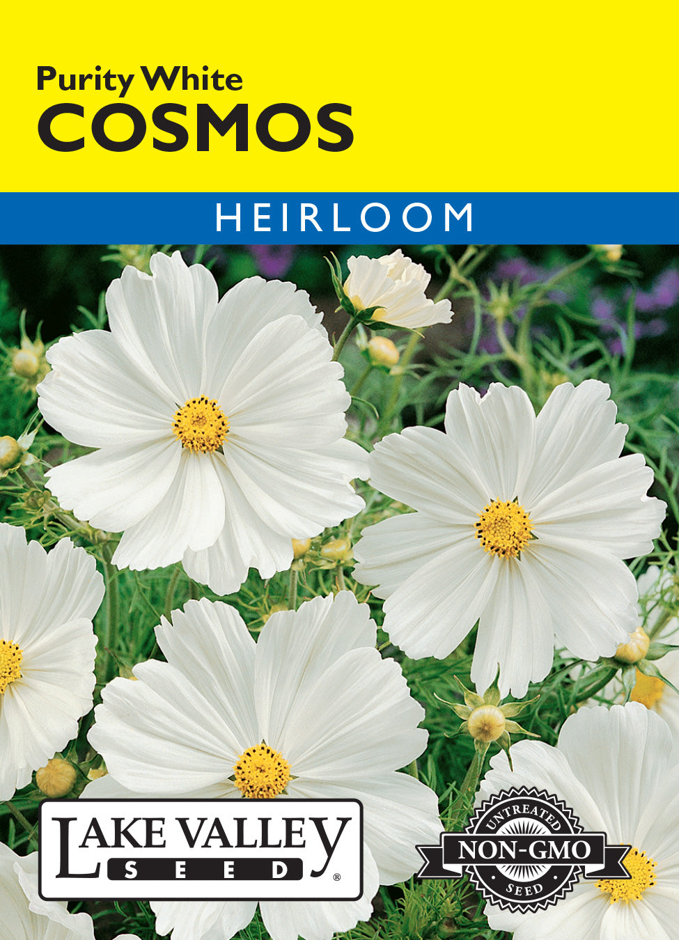 Cosmos Purity White - Item #429