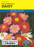 Daisy Painted Robinson Mixed Colors - Item #433