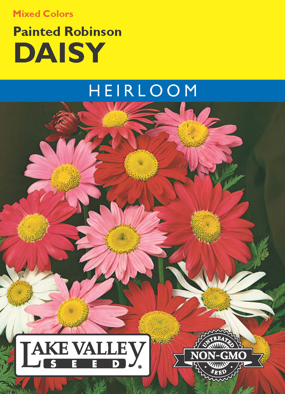 Daisy Painted Robinson Mixed Colors - Item #433