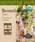 Broccoli Calabrese - Item #4370