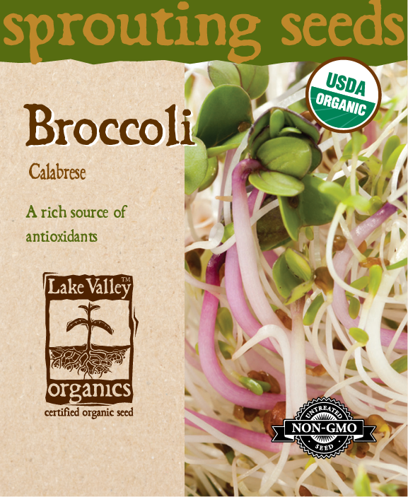 Broccoli Calabrese - Item #4370