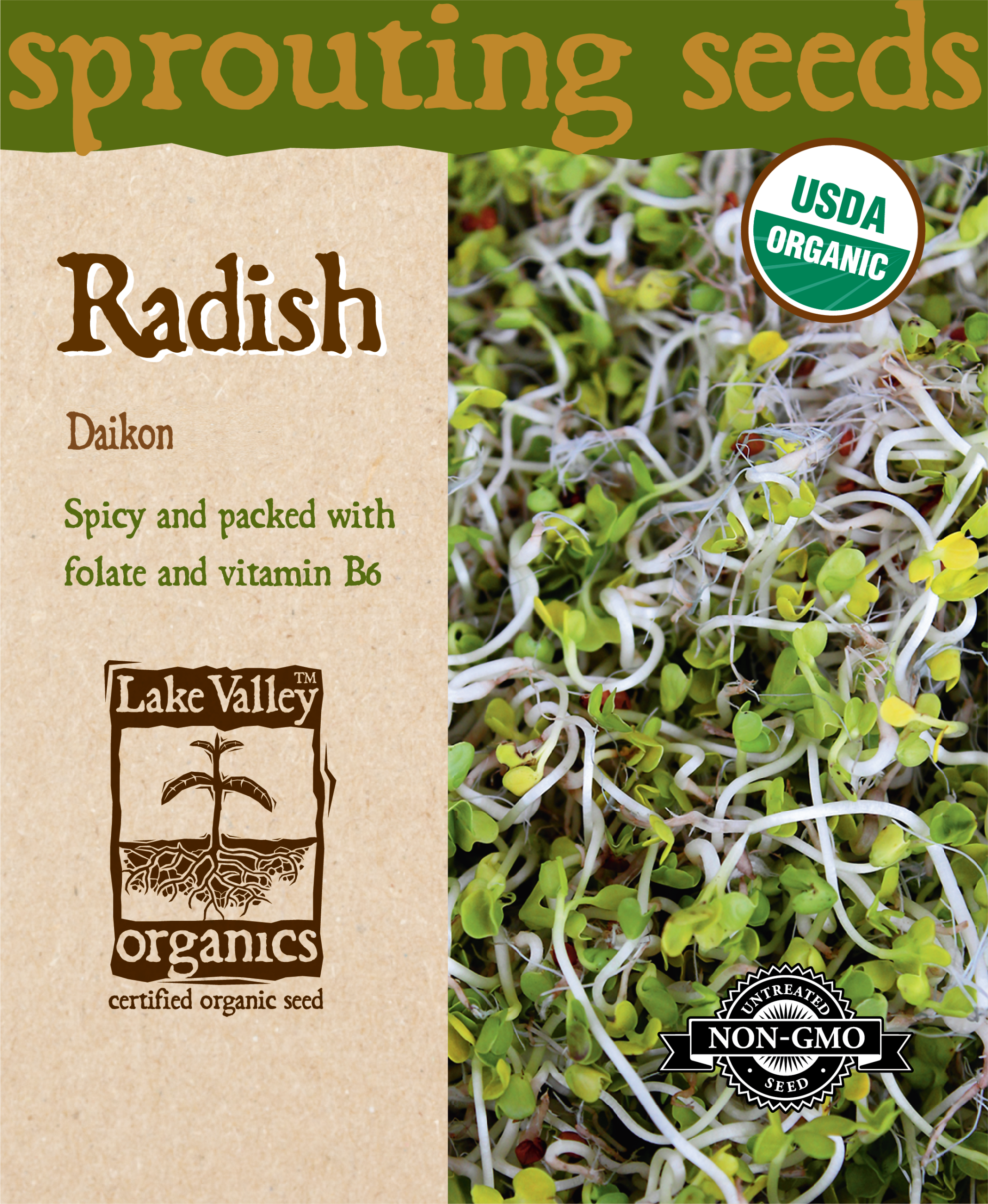 Radish Daikon - Item #4372