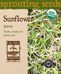 Sunflower Black Oil- Item #4377