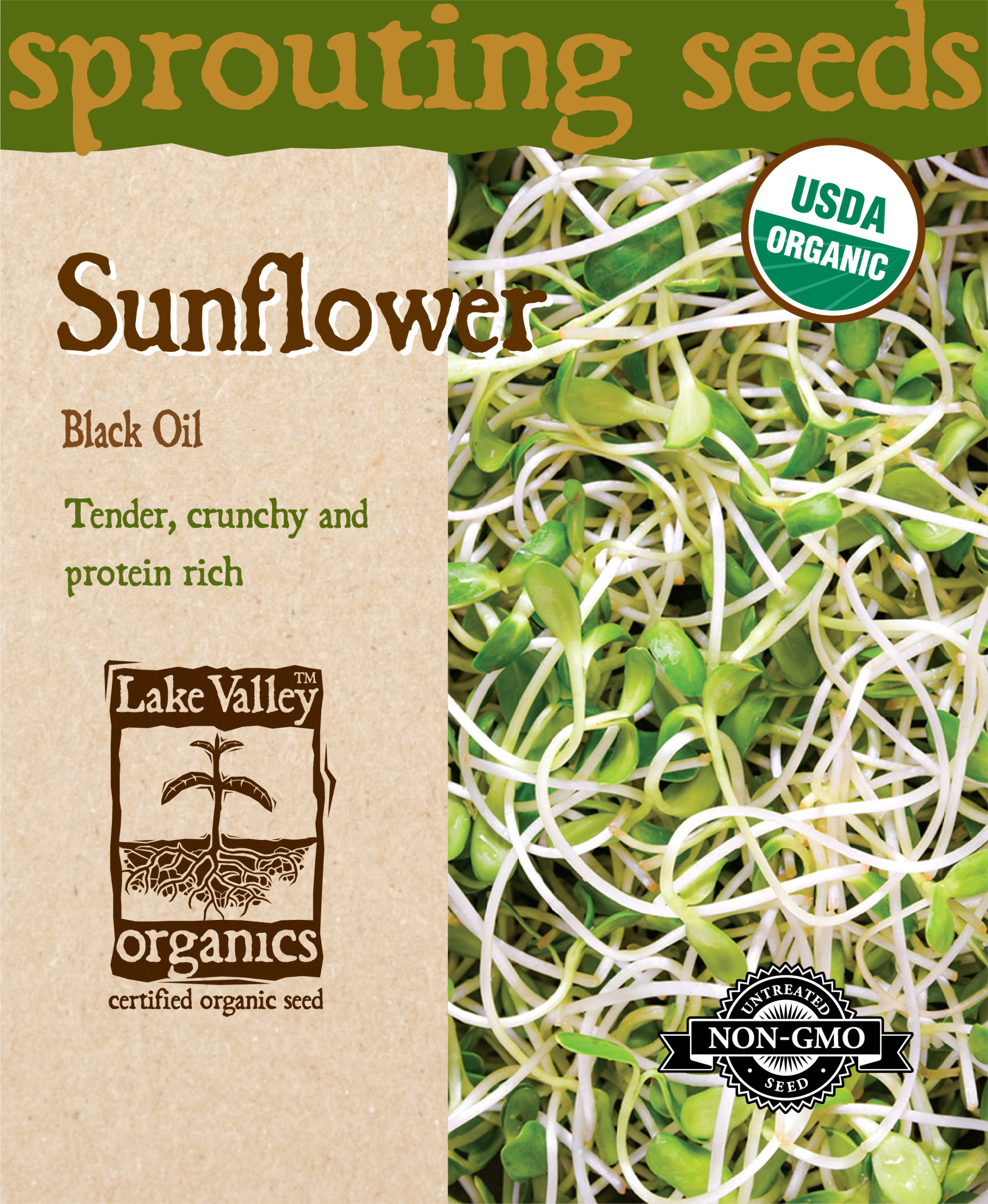 Sunflower Black Oil- Item #4377