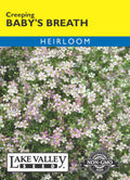 Baby's Breath Creeping - Item #443