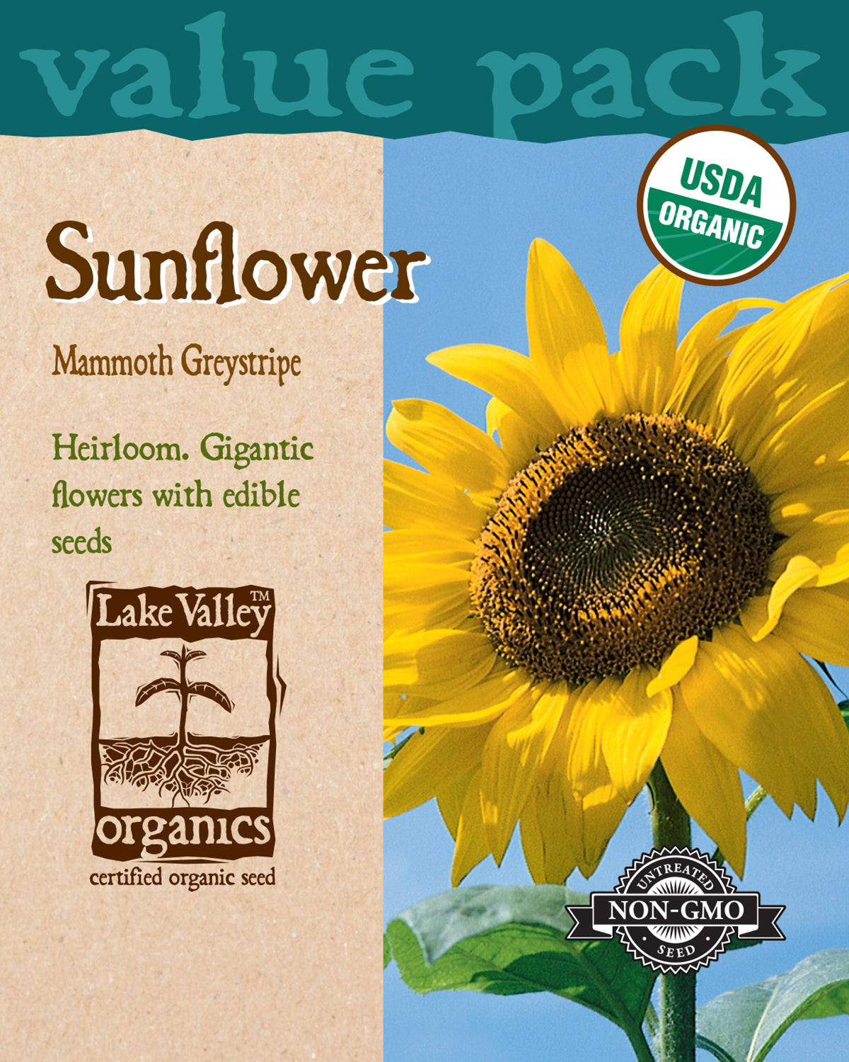 Sunflower Mammoth Greystripe - Item #4441