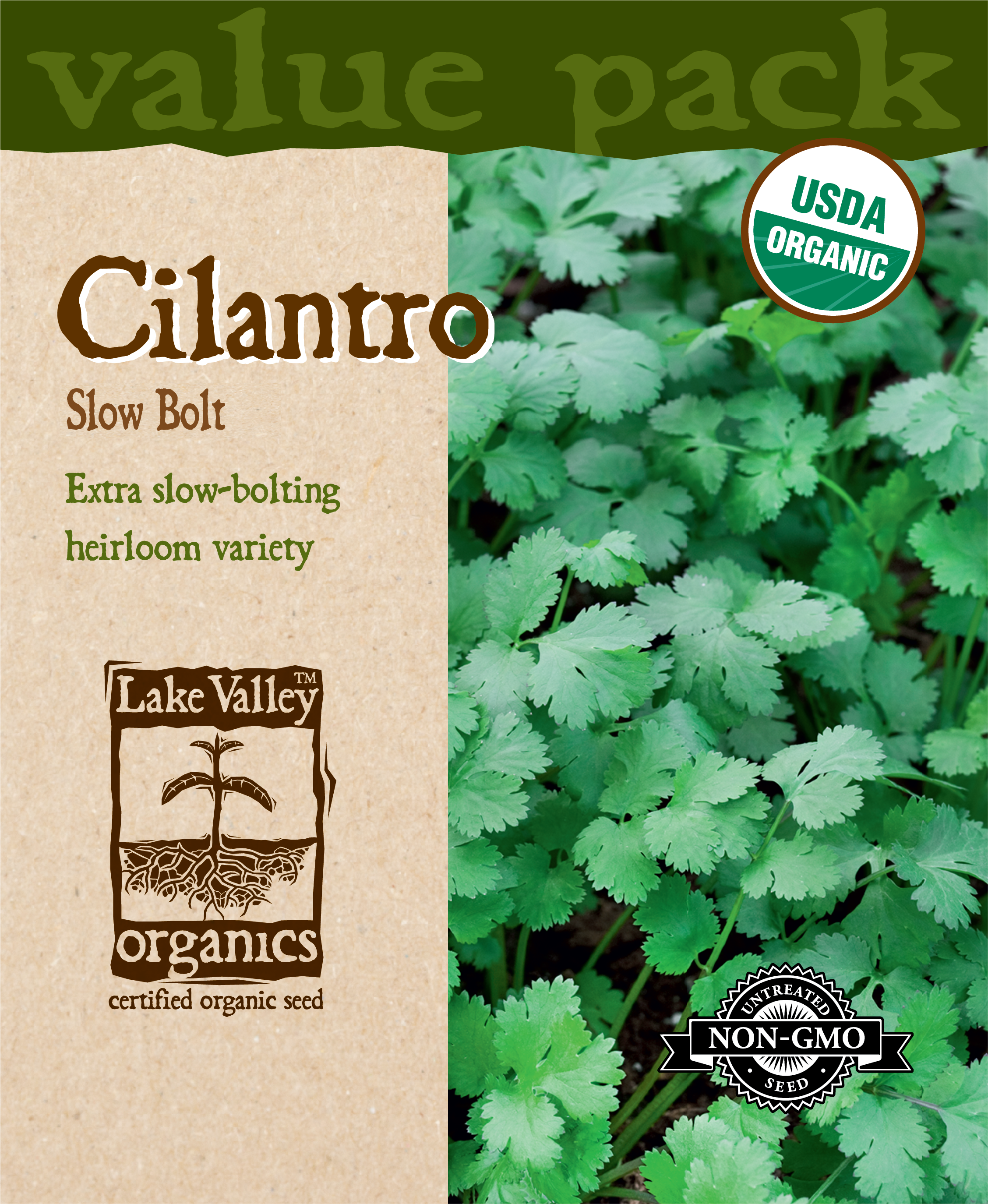 Cilantro Slow Bolt - Item #4443