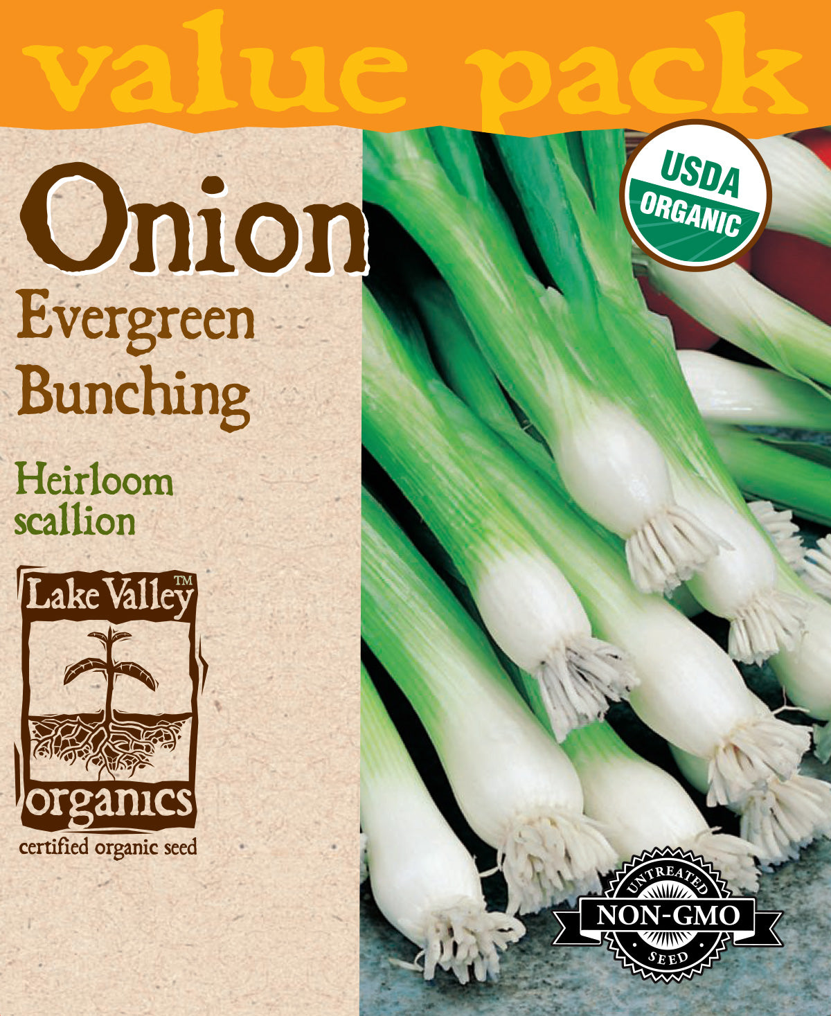Onion Evergreen Bunching - Item #4455