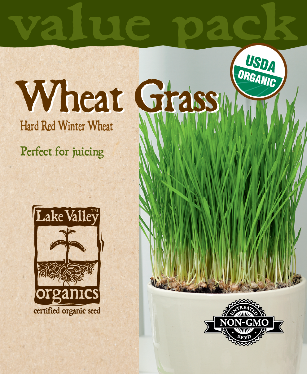 Wheat Grass - Item #4460