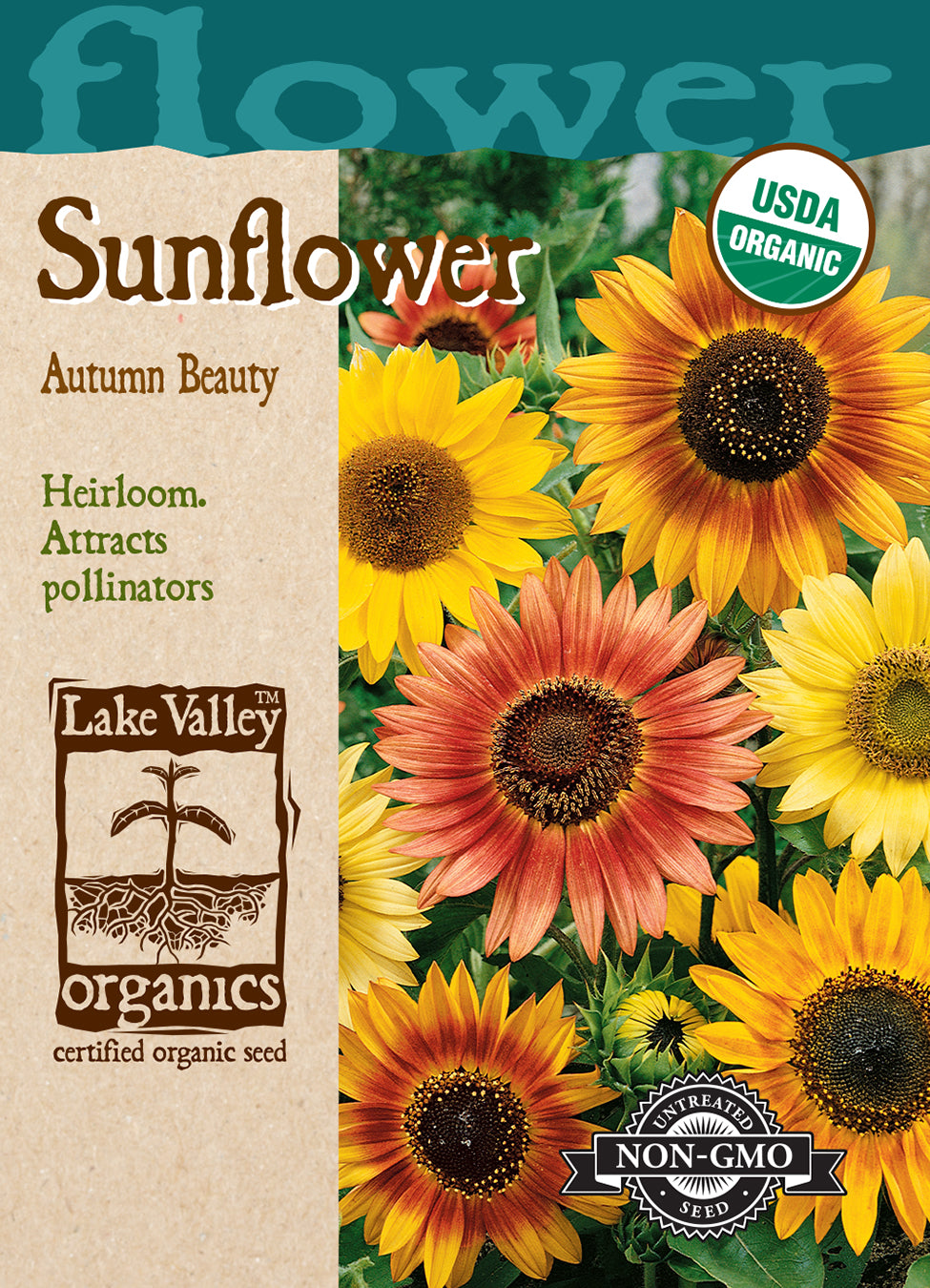 Sunflower Autumn Beauty - Item #4474
