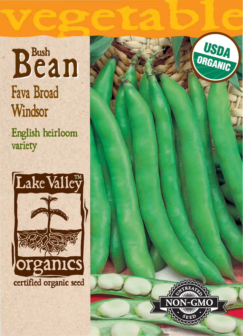Bean Fava Broad Windsor - Item #4476