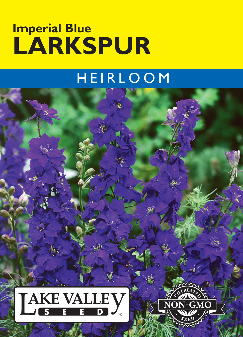Larkspur Imperial Blue - Item #448